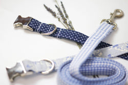 The Oxford Dog - Dog Leash | Matching Dog Leash | Dog Lead | 6 Foot Dog Leash: 3/4" / Green Geometric