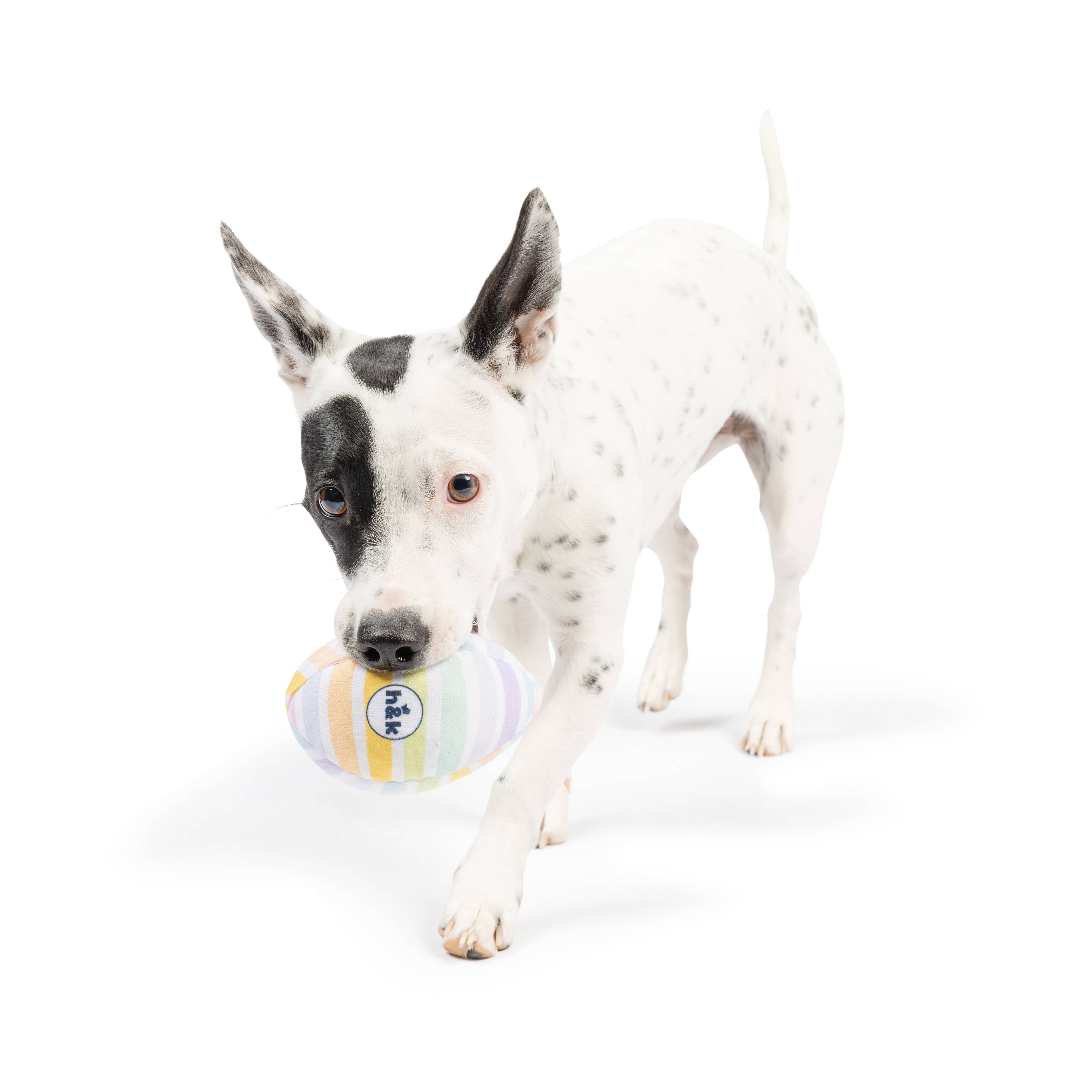 Huxley & Kent - Tiny Tuff Squeaky Eggs 2pk: One Size