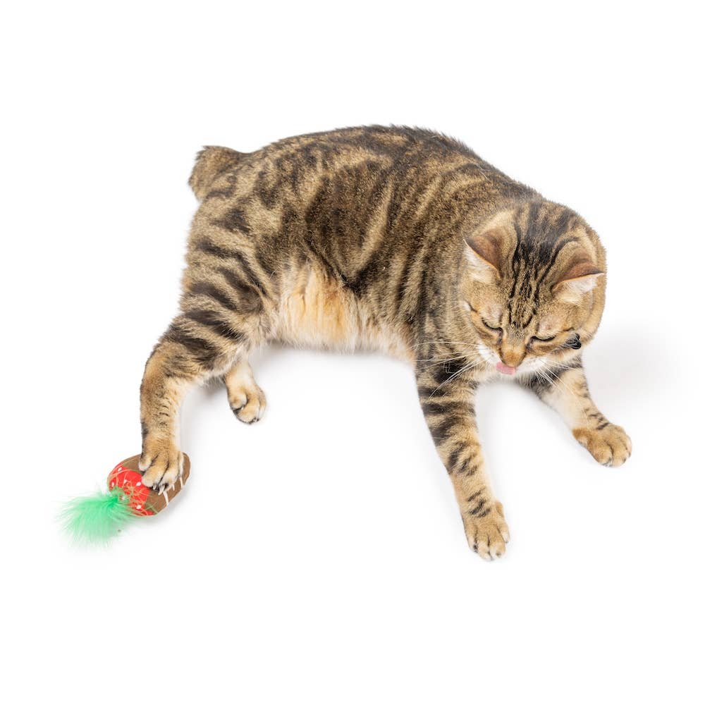 Huxley & Kent - Chocolate Strawberry Cat Toy: One Size