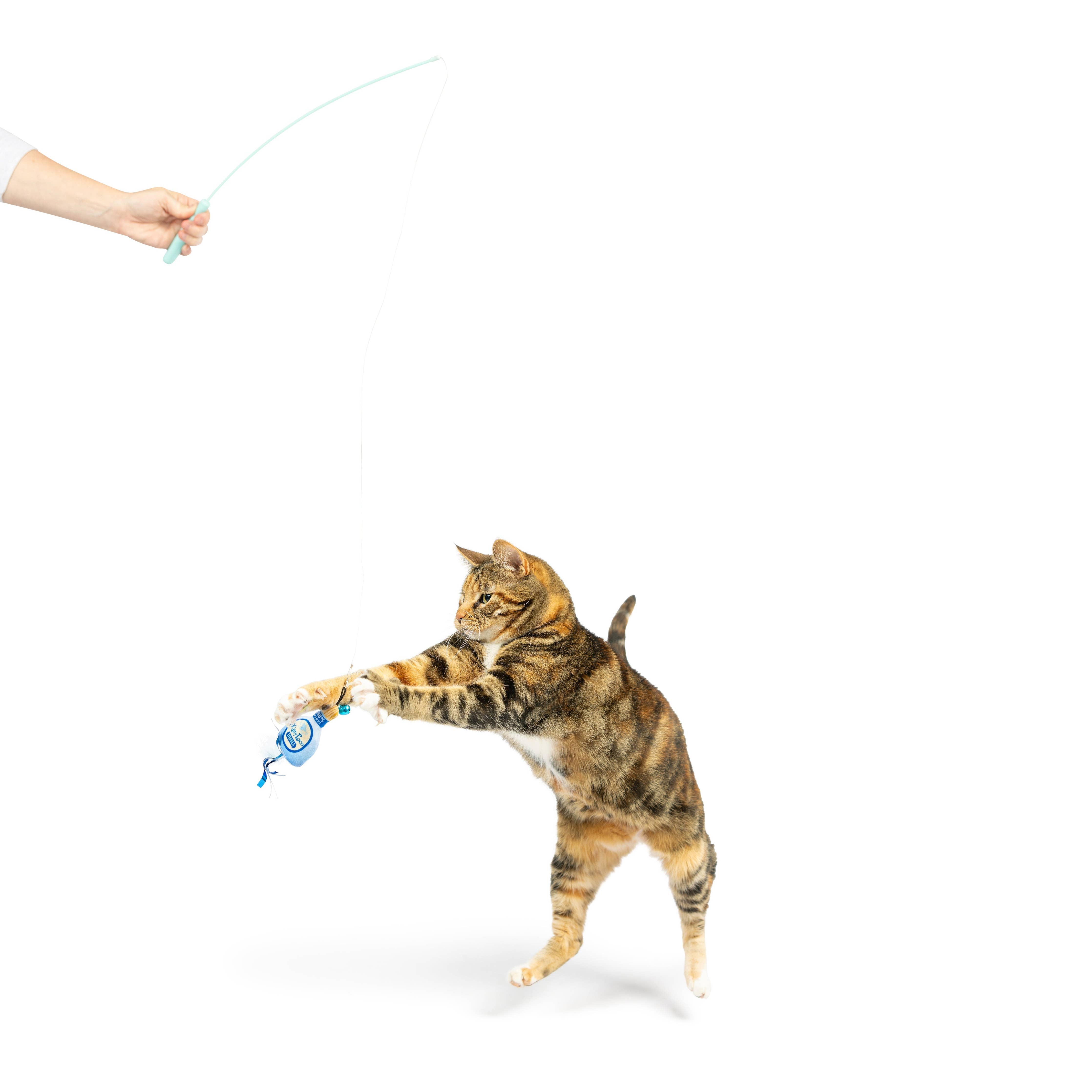 Huxley & Kent - Teaser Kitty Loco Cat Wand: One Size
