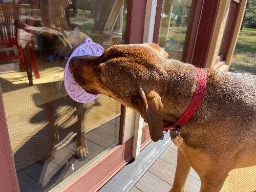 SodaPup Dog Toys - Lotus eMat Enrichment Lick Mat With Suction Cups: Light Purple