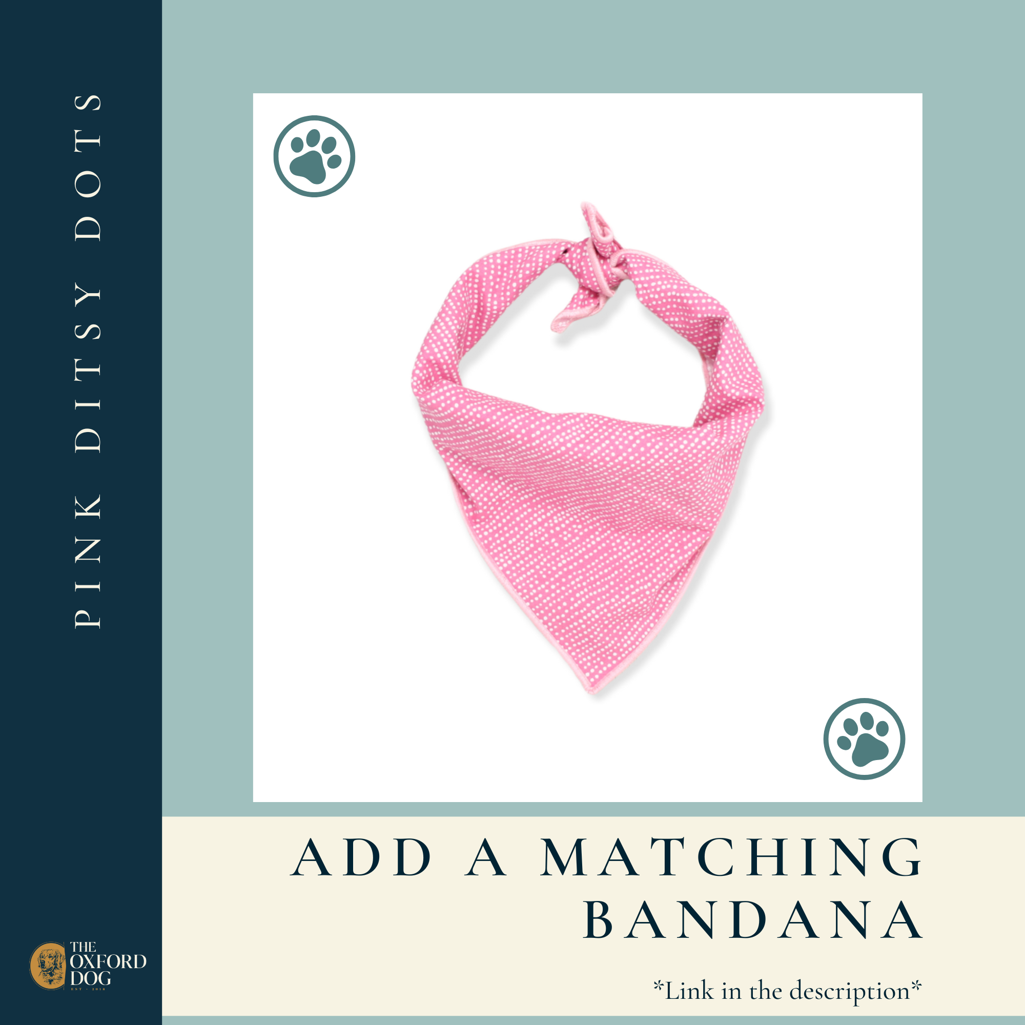 The Oxford Dog - Pink Dog Collar, Girl Dog Collar, Pink Ditsy Dots Dog Collar: Silver / XLARGE