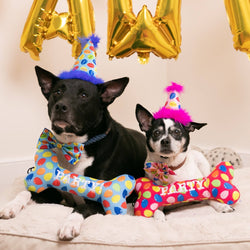 Huxley & Kent - H&K Party Hat Party Time Blue with SnugFit®: LG