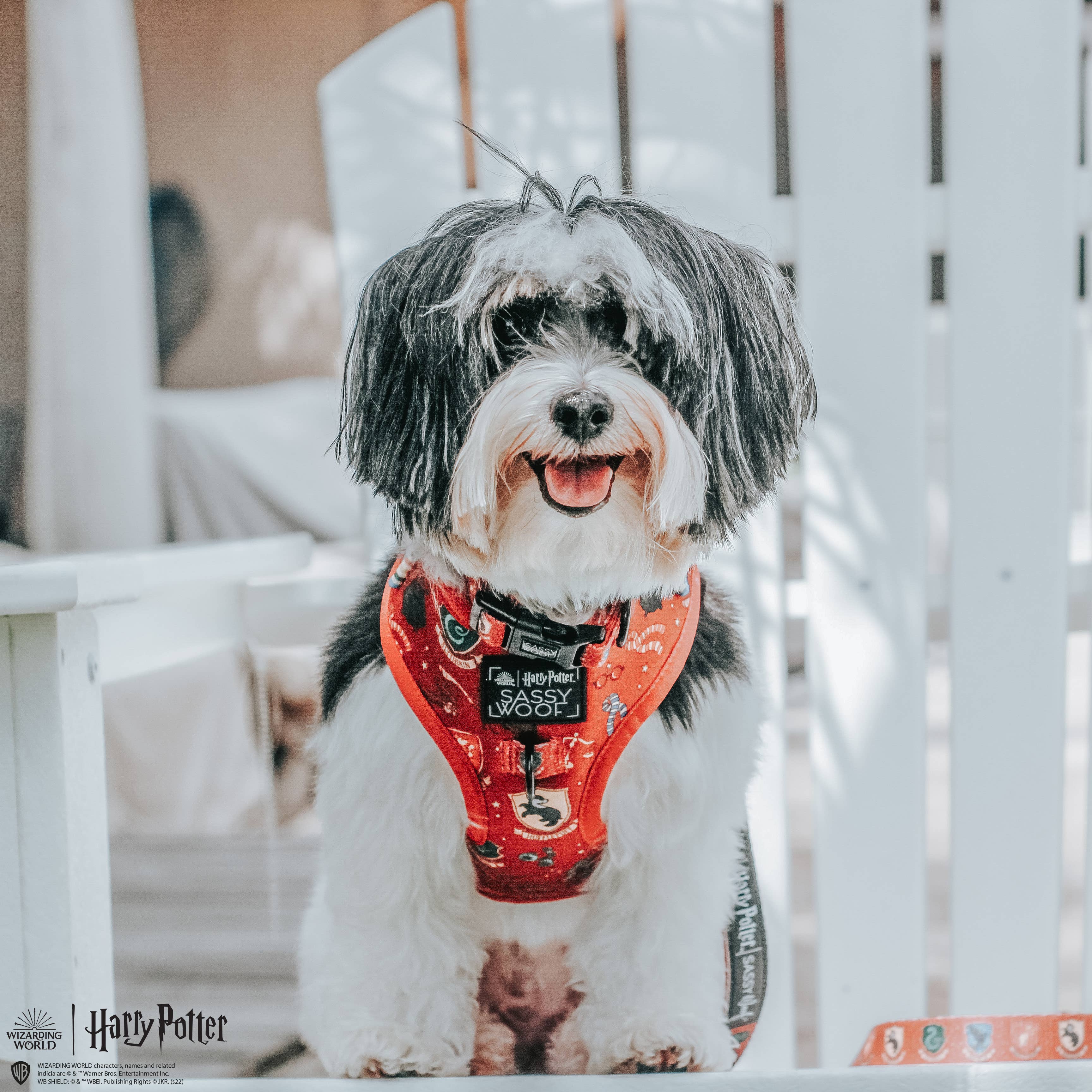 SASSY WOOF - Dog Adjustable Harness - Harry Potter: XXS