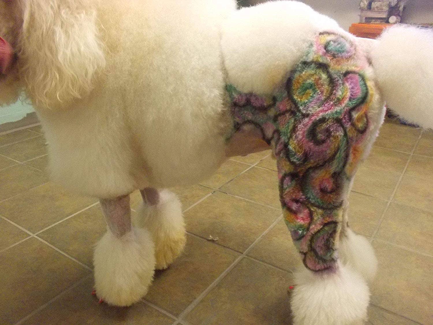 Warren London Dog Products - Critter Color - Temporary Fur Coloring - 7 Color Options: All 7 Colors
