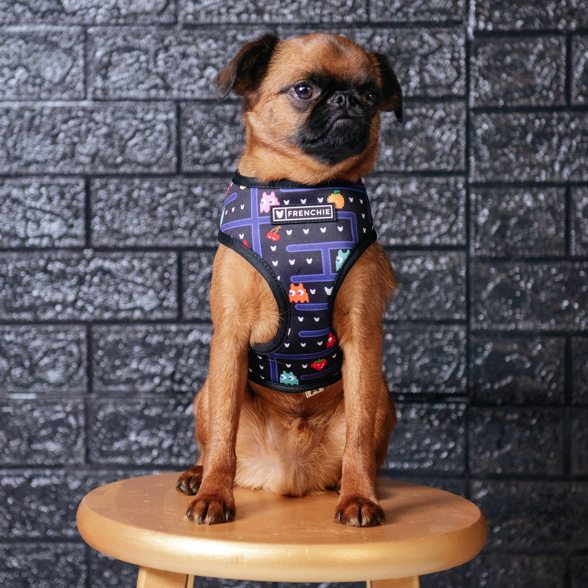 Frenchie - Frenchie Duo Reversible Harness - Arcade: M