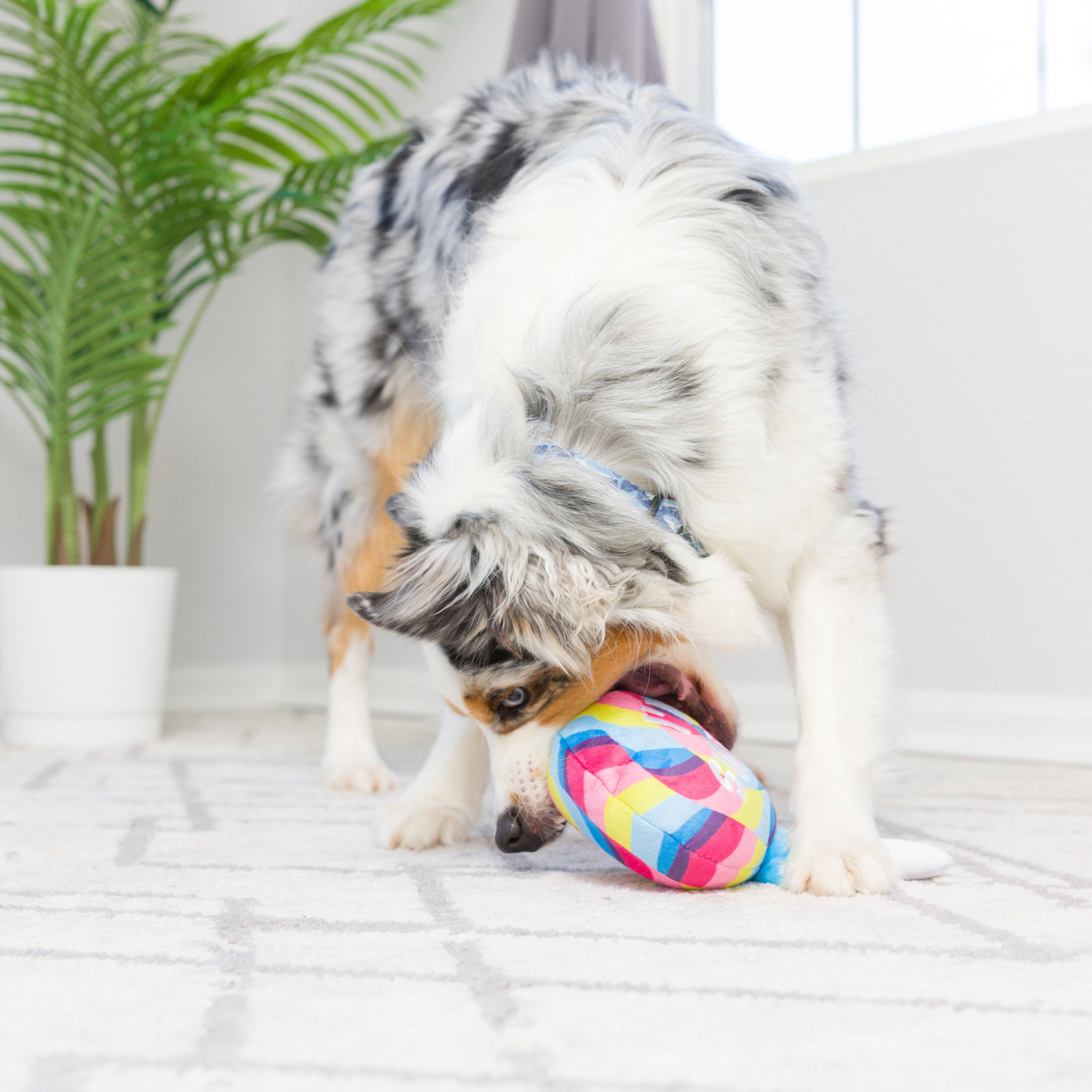Huxley & Kent - I'm Sweet Lollipop Dog Toy: Small