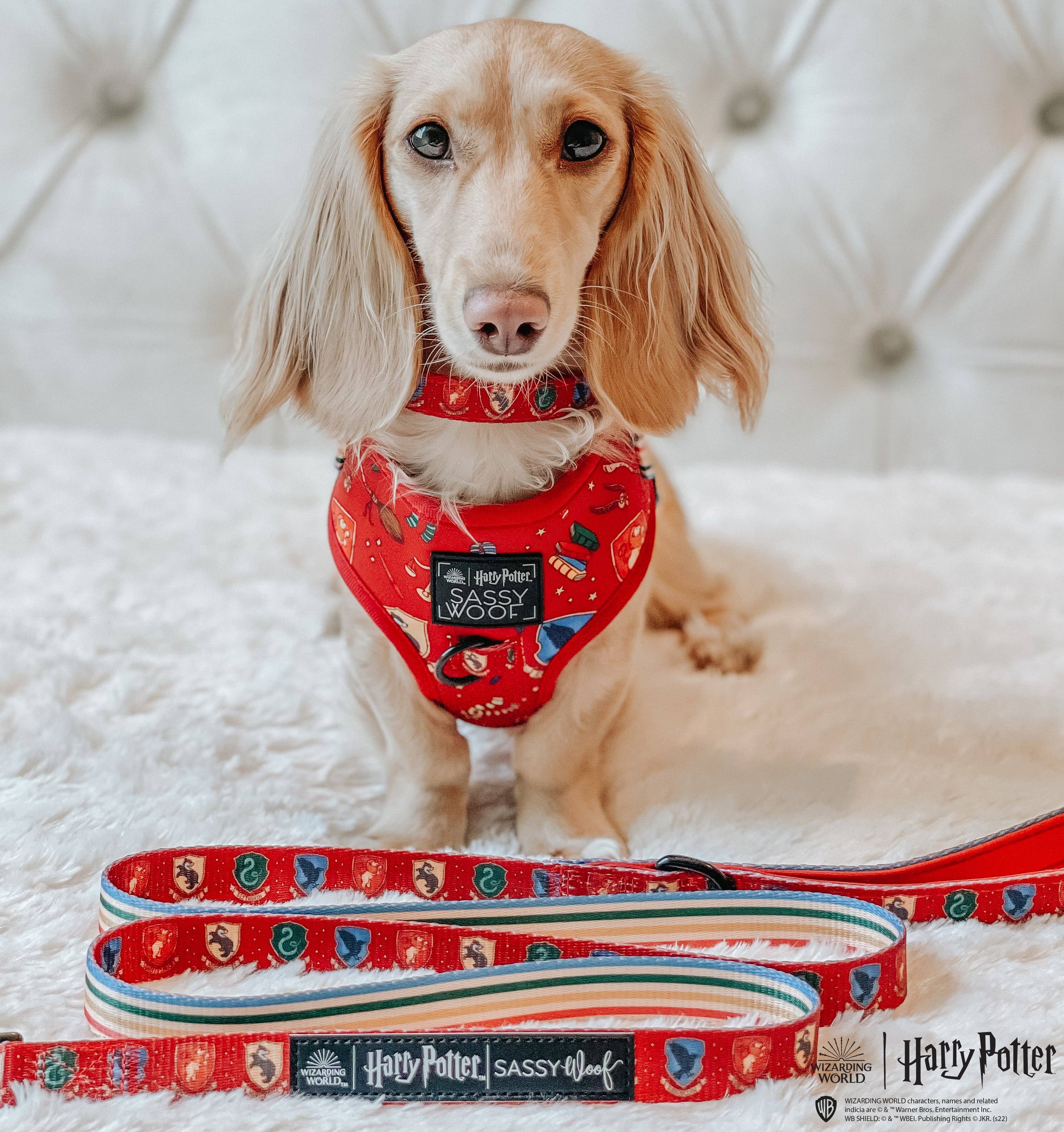 SASSY WOOF - Dog Collar - Harry Potter™: Medium