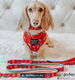 SASSY WOOF - Dog Collar - Harry Potter™: Medium