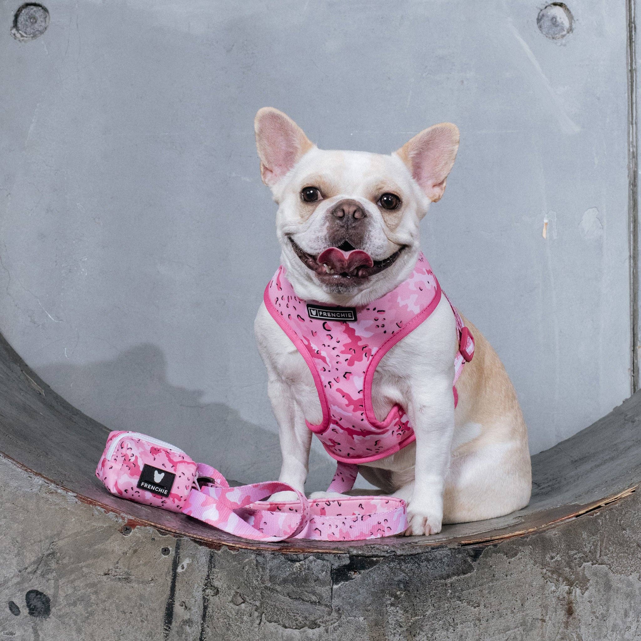 Frenchie - Frenchie Duo Reversible Harness - Desert Camo (Pink): XS