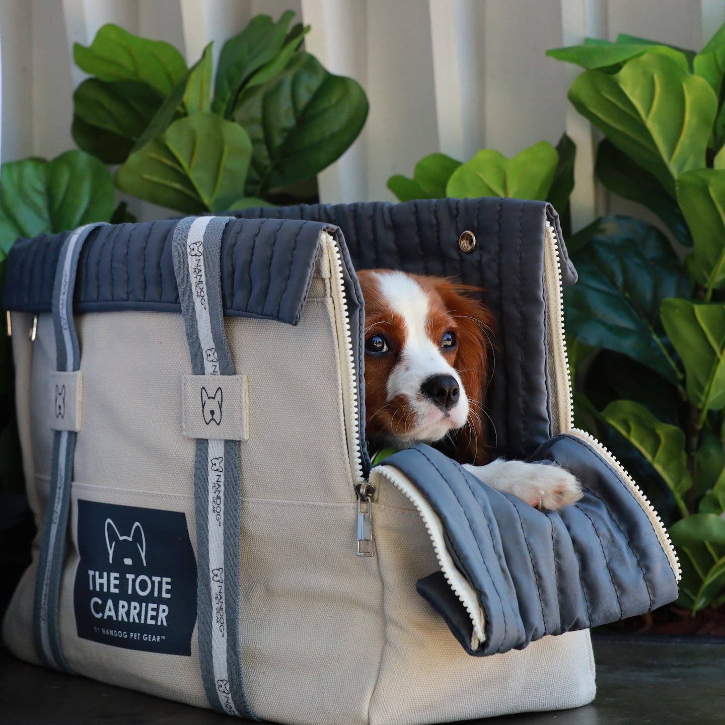 Nandog Pet Gear - The Tote Dog Carrier