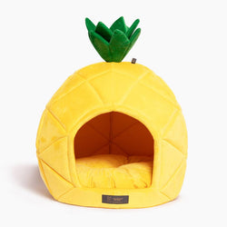 PINEAPPLE DOG BED / CAT HUT - LARGE