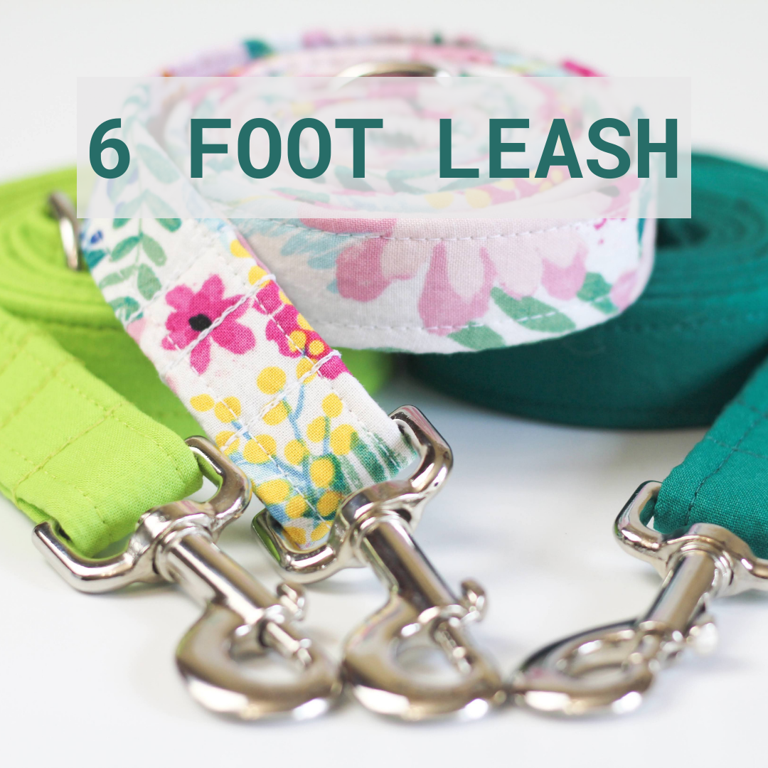 The Oxford Dog - Dog Leash | Matching Dog Leash | Dog Lead | 6 Foot Dog Leash: 3/4