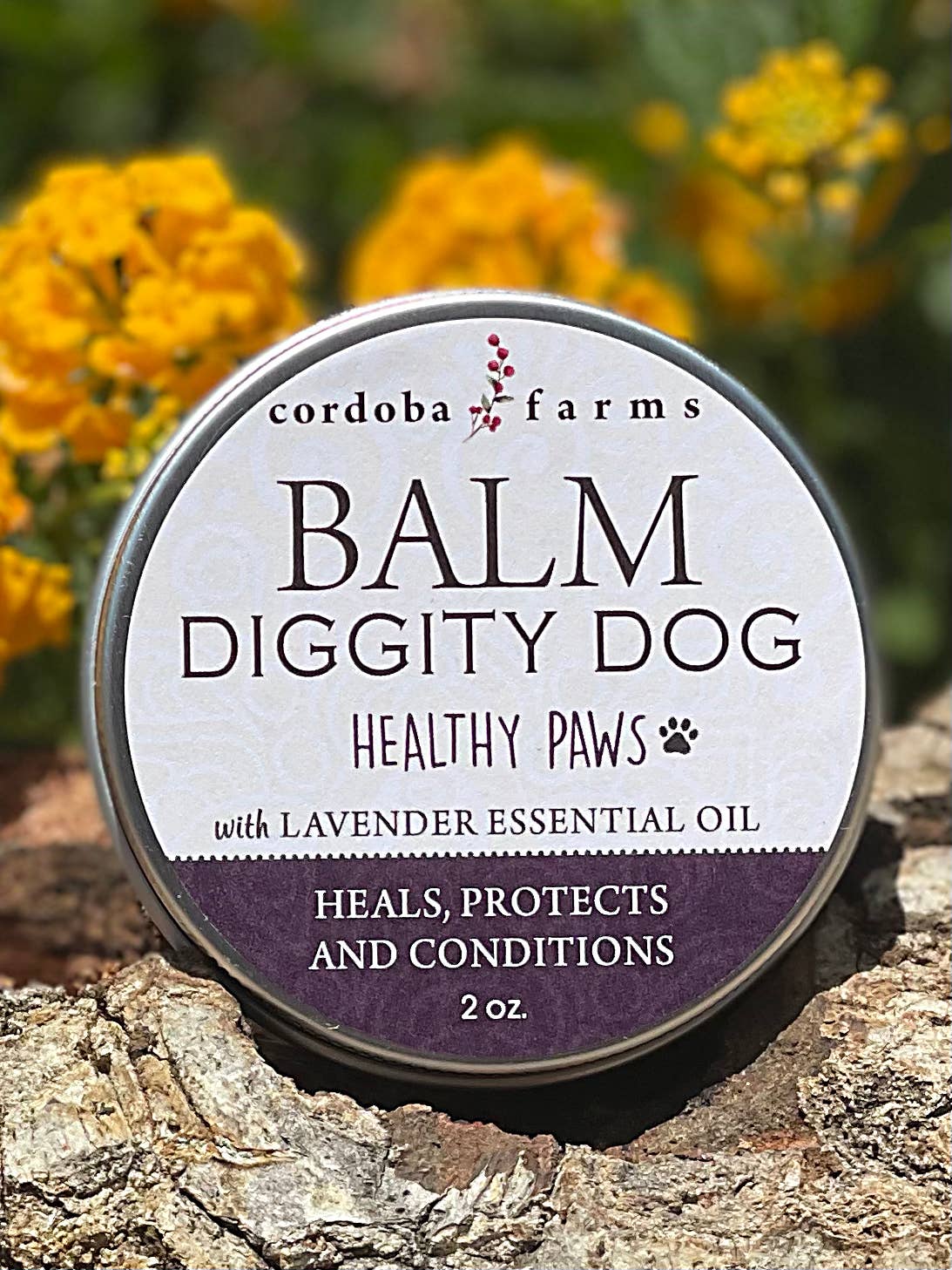 Balm Diggity Dog | Paw Protection: 2 oz. tin