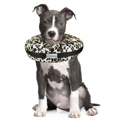 Comfurt Collar - Cheetah - Pet Recovery Collar: L