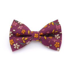 Made By Cleo - "Spiced Plum" - Bow Tie for Cats + Small Dogs