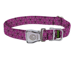 Cycle Dog - Ecoweave Fuchsia Tri-Style Dog Collar: Latch-Lock Metal Buckle / Medium / Standard