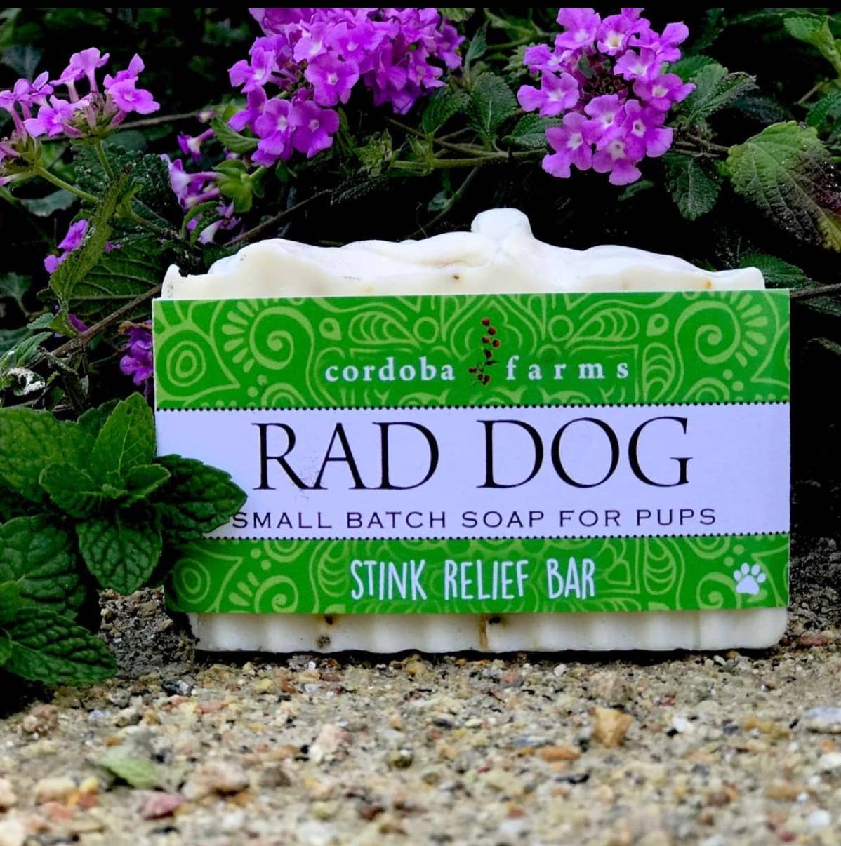 Rad Dog - Stink Relief Bar: No bag.